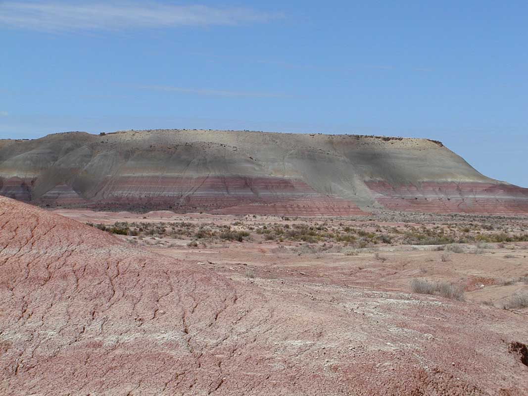 114 Auca Mahuevo P1010075