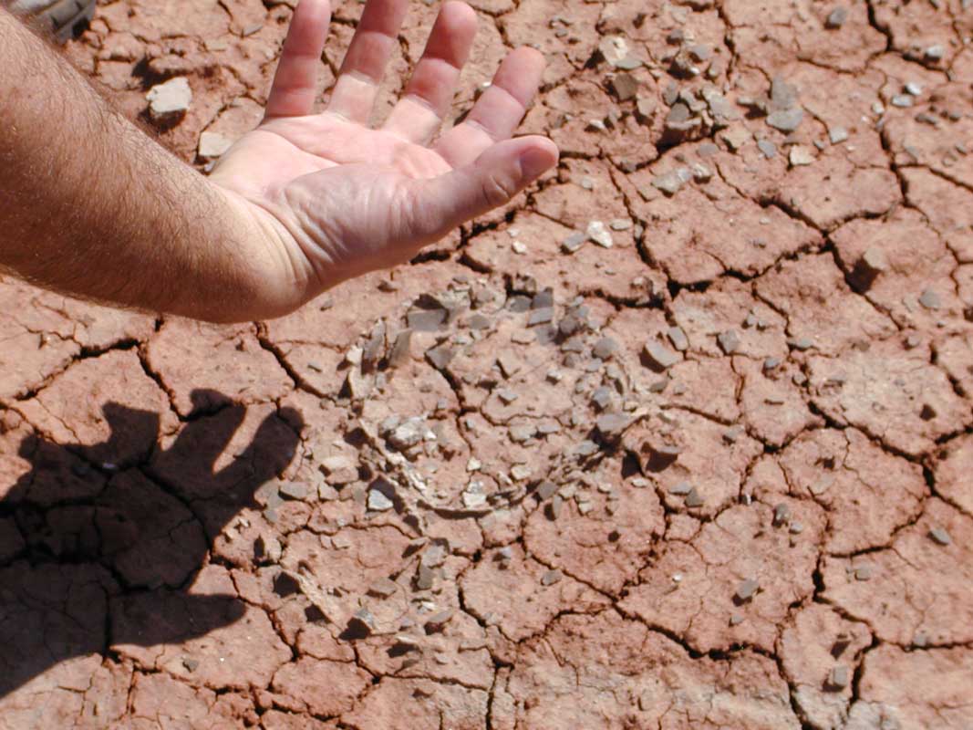 119 Auca Mahuevo P1010067