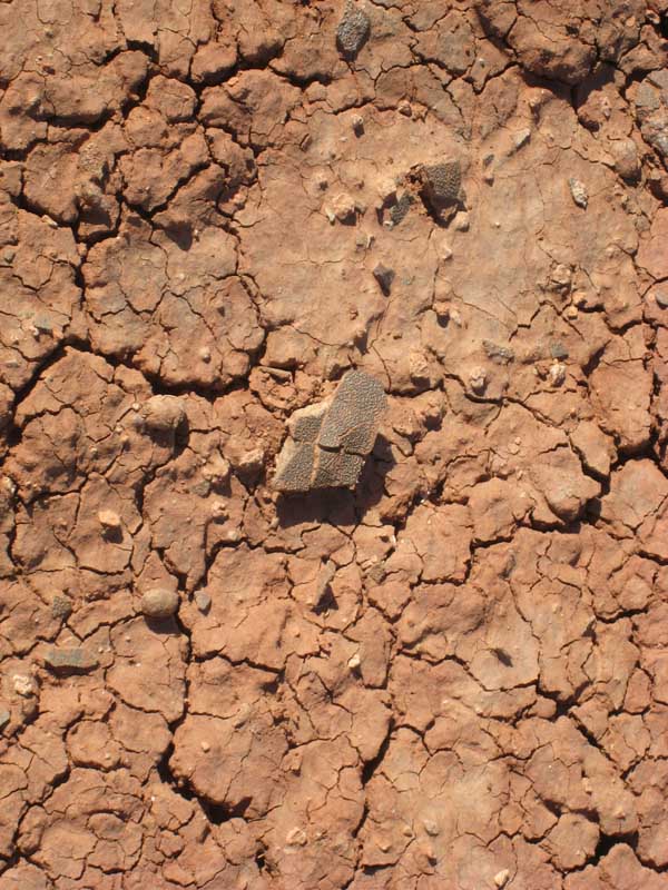 125 Auca Mahuevo IMG_0068