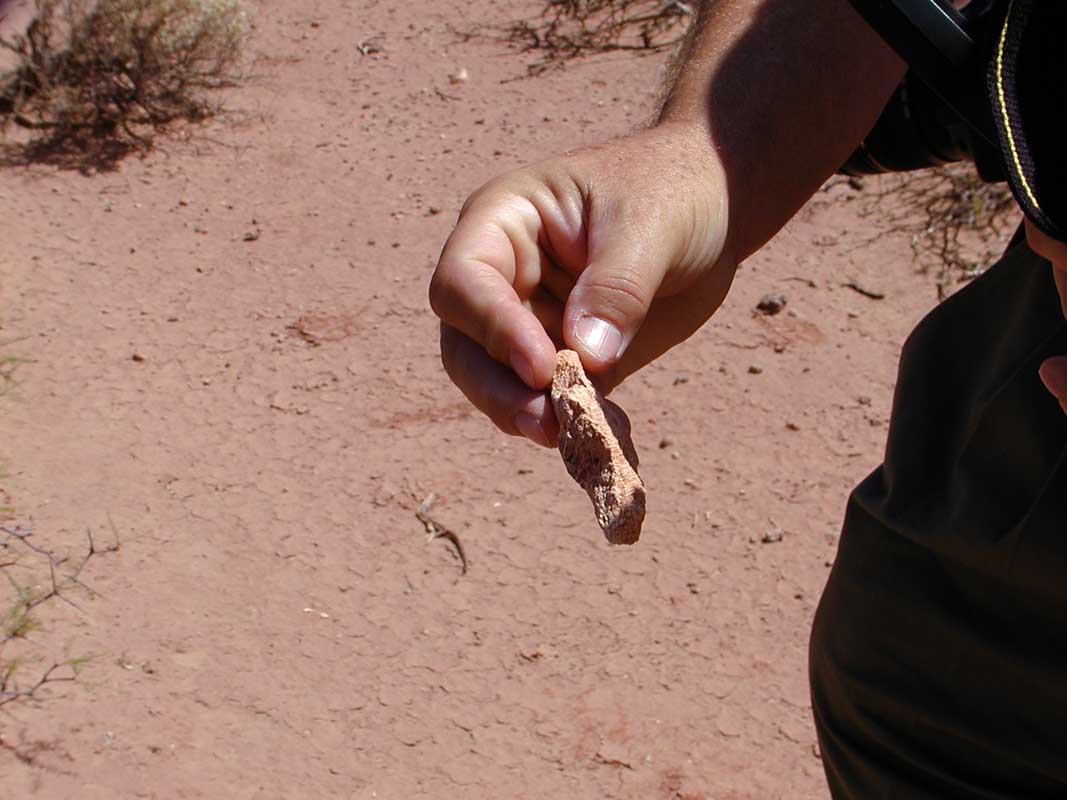 127 Auca Mahuevo P1010077