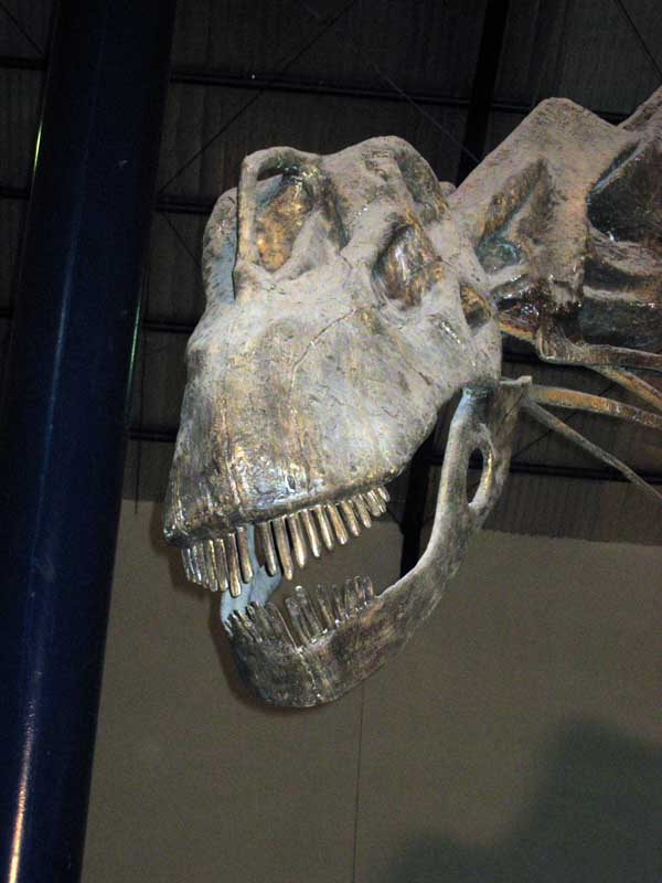 132 Museo Carmen Funes IMG_0093