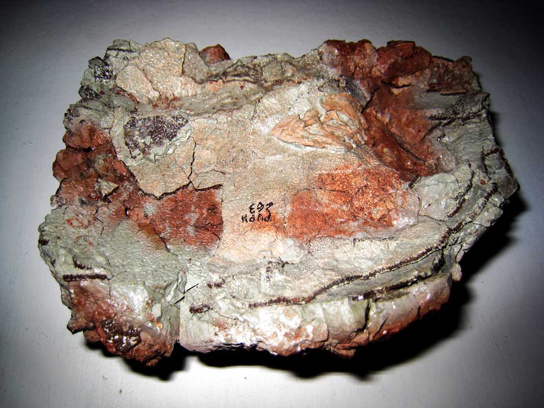 142 Museo Carmen Funes IMG_0089