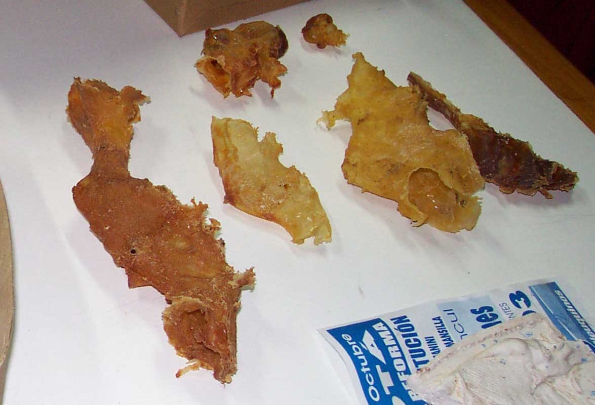 145 Museo Carmen Funes DCP_2169