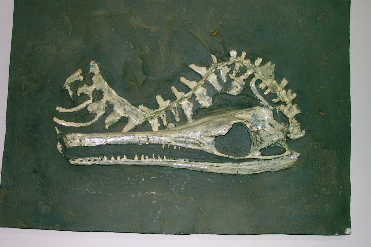 174 Bariloche Museo DCP_2201