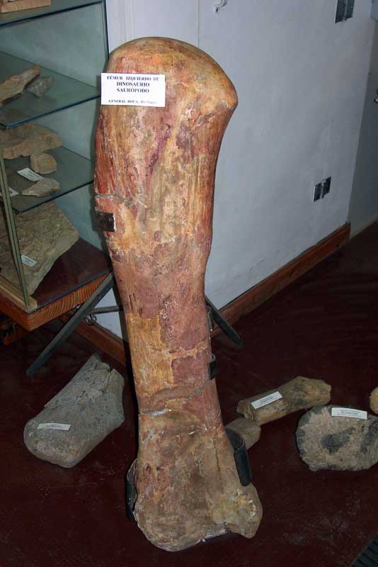 178 Bariloche Museo DCP_2203