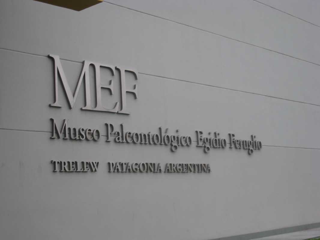 209 Museo Egidio Feruglio IMG_0204