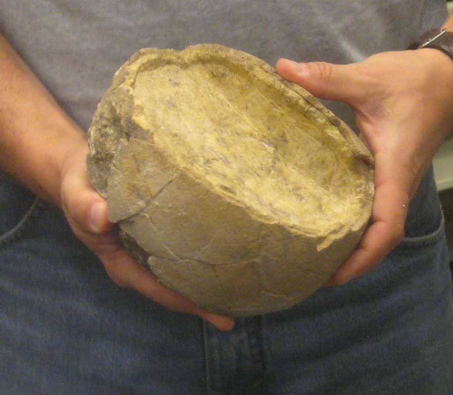 221 Museo Egidio Feruglio IMG_0246