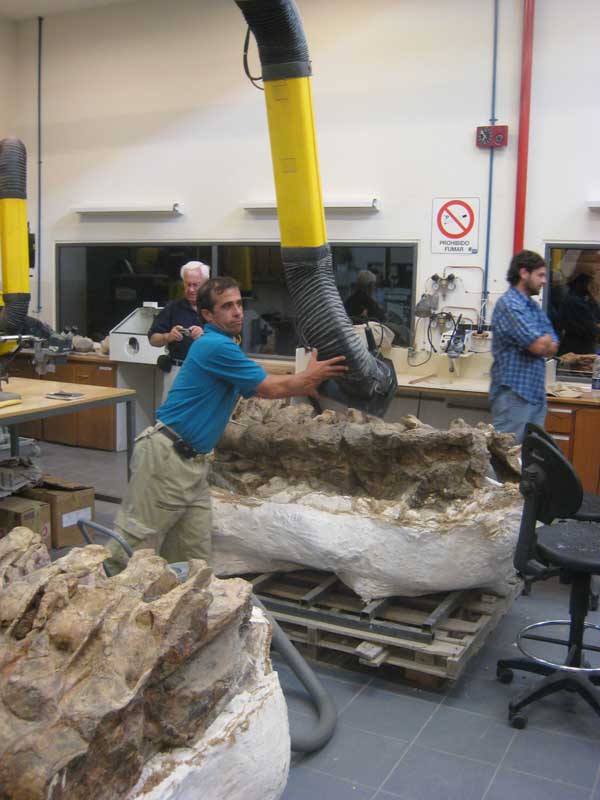 222 Museo Egidio Feruglio IMG_0237