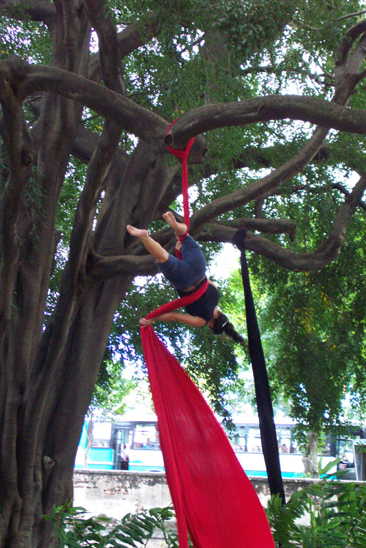 011 San Jose Acrobats DCP_1499