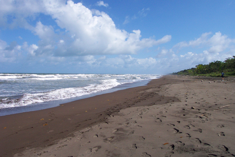 059 Tortuguero DCP_1503