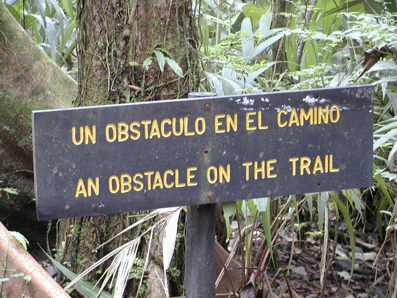 063 Tortuguero Hike P2190063