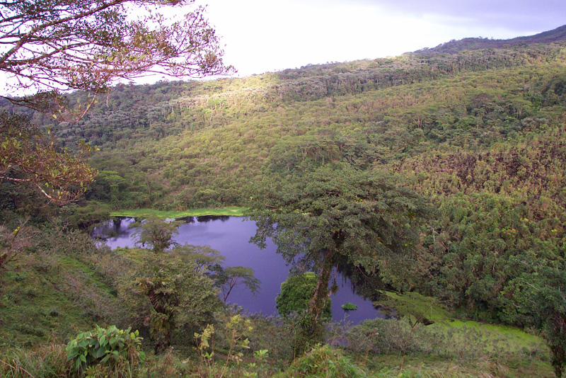 102 Arenal Volcano DCP_1526