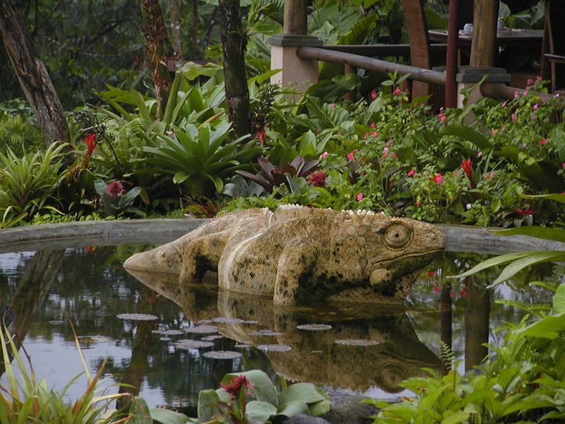 108 Arenal Iguana Inn P2210032