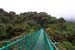 129 Monteverde Bridges DCP_1584