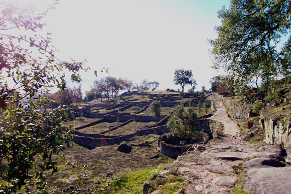 085 Citania de Briteiros DCP_1978