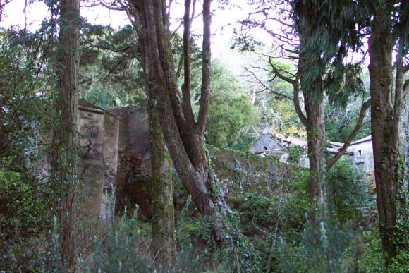 474 Sintra Capuchin Monastery DCP_1702