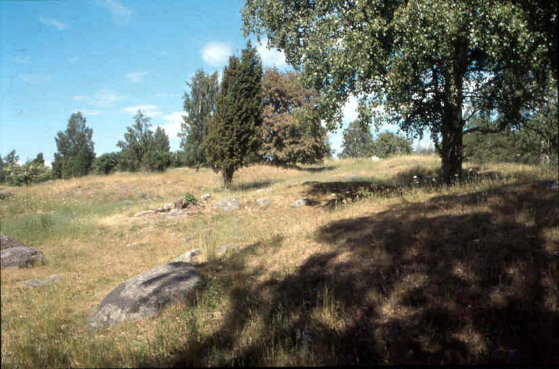 1830 Birka Grave Yard 5620_02