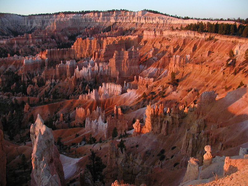 0010 Bryce Cyn P9170049