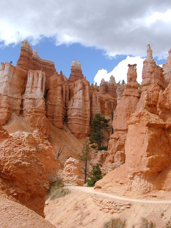 1200 Bryce Cyn  P9160023